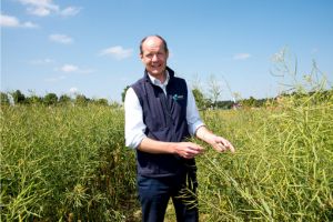 Charlie Ireland views the trial plots at the 2023 Arable Event