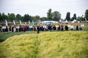 Visitors to the Arable Event will be able to view the extensive trial plots
