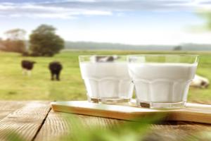 Farmers across the UK launch 'Mission 4 Milk'