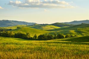 countryside stewardship