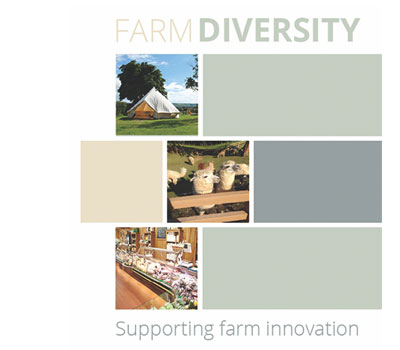 farm-diversity-square-pic.jpg