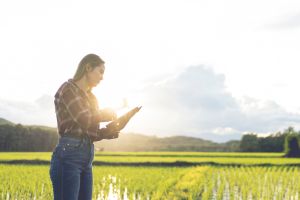 farmer marketing her glamping site using instagram