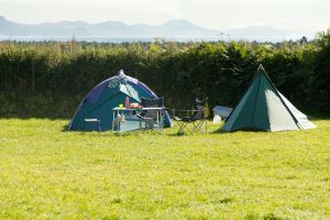 hedges surrounding glamping site on farm