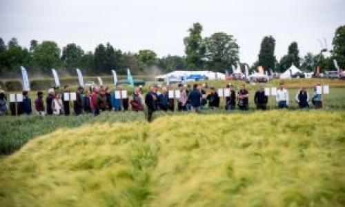 Visitors to the Arable Event will be able to view the extensive trial plots