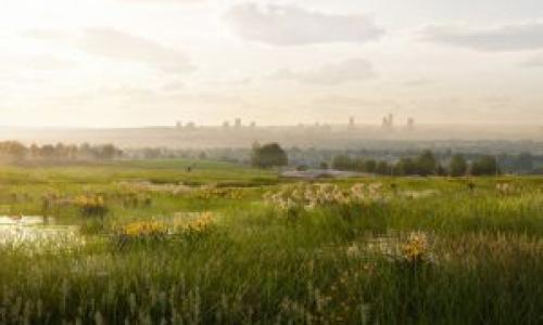 Environment Bank Horwich Habitat Bank