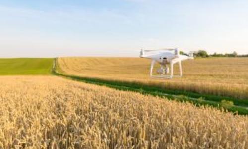 technological innovation in agriculture and farming