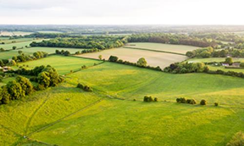 farmland in England