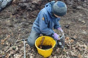 samples of manure that has undergone fermentation