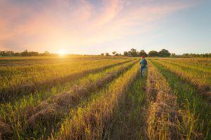 countryside stewardship schemes