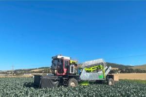 Harvest