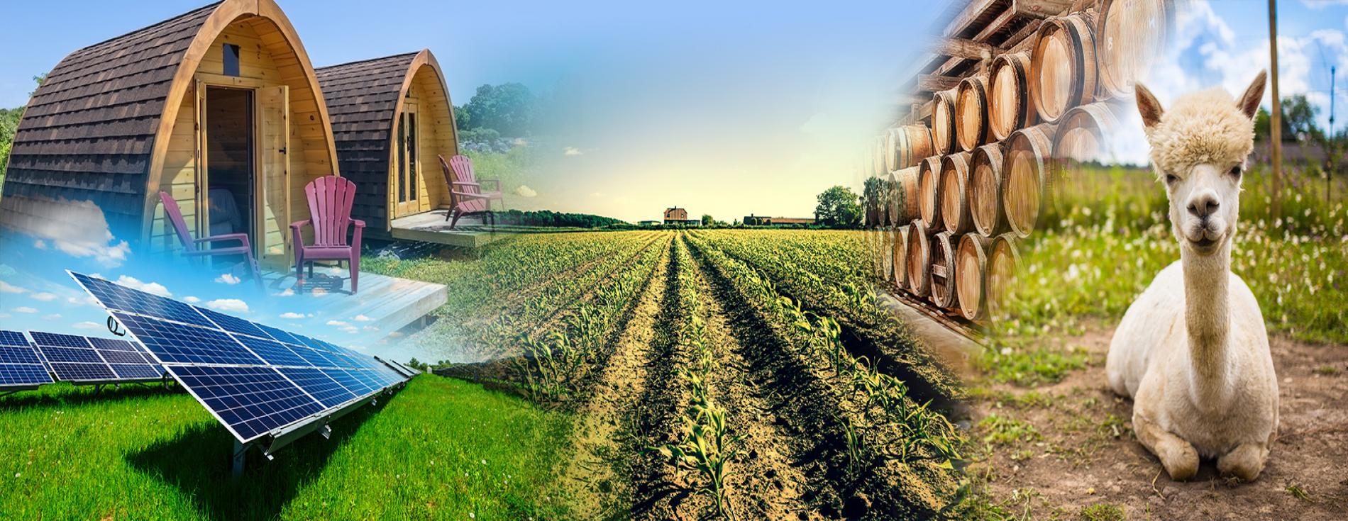 Farm Diversify Magazine Header Farm Diversify Magazine Header